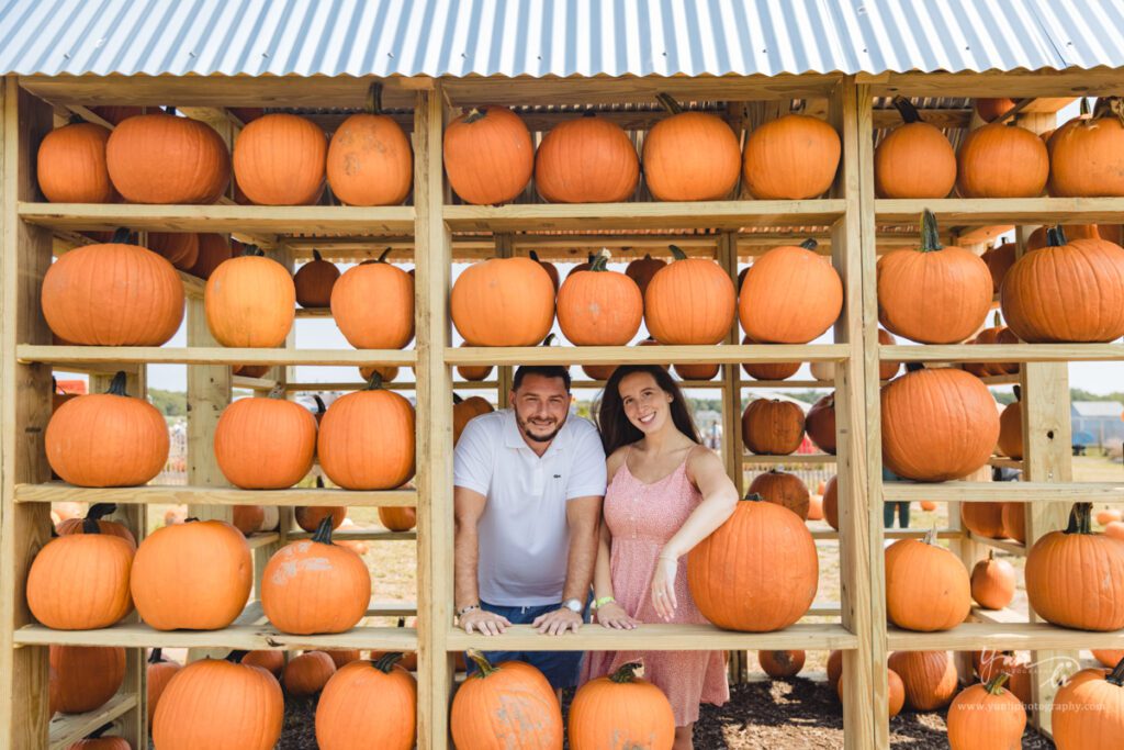 Surprise Marriage Proposal Engagement Pictures at Waterdrinker Farm - Long Island Wedding Photographer