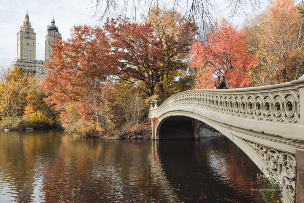 Engagement Picture at Central Park New York - Long Island Wedding Photographer - Yun Li Photography