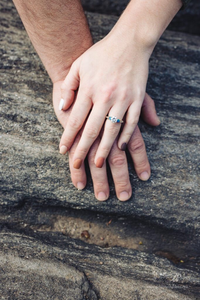 Engagement Picture at Central Park New York - Long Island Wedding Photographer - Yun Li Photography